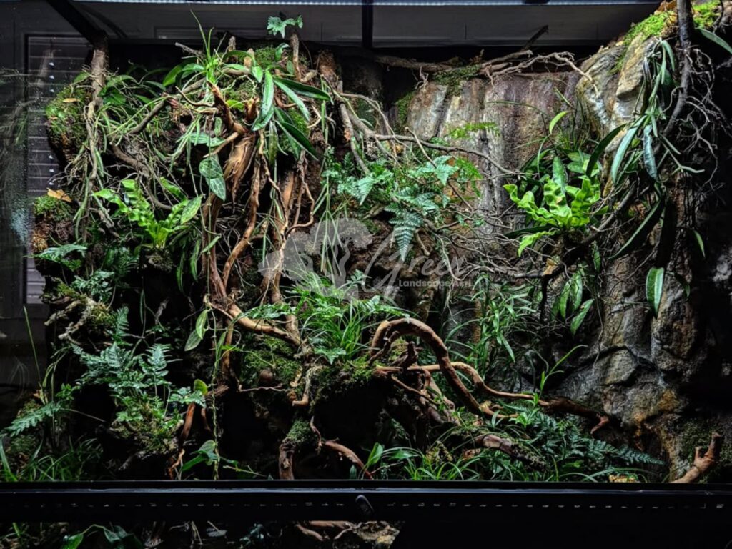 Jasa Pembuatan Paludarium