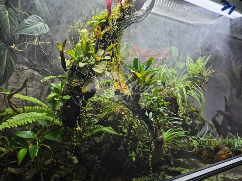 Jasa Pembuatan Paludarium